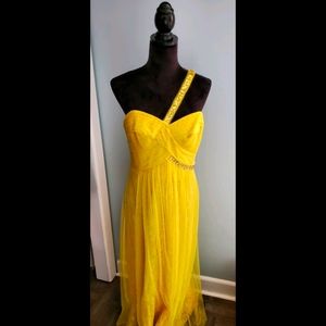 BCBG MaxAzria Atelier Dress